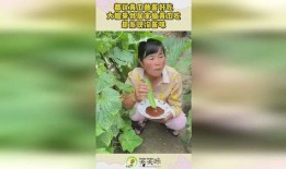 娱乐吃瓜酱家庭