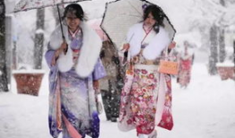 每日大赛和服吃瓜娱乐,服吃瓜娱乐大揭秘