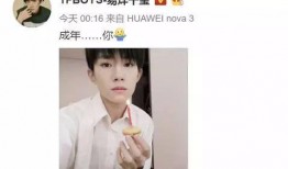 娱乐圈吃天瓜视频在哪看,吃瓜视频观看指南