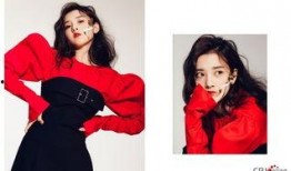 娱乐吃瓜封面图,封面图背后的那些吃瓜大事件