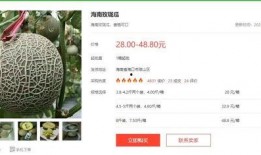 吃瓜大瓜娱乐圈百度网盘,吃瓜群众必看百度网盘独家内容