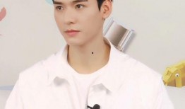 娱乐圈吃瓜龚俊是谁啊图片,娱乐圈新晋“吃瓜王”的崛起之路