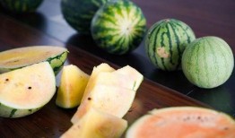 浙江娱乐吃瓜君,揭秘娱乐圈最新热点事件