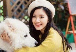 吃瓜星娱乐赵露思,吃瓜星娱乐中的璀璨新星