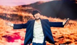 林俊杰娱乐圈吃瓜事件,揭秘明星背后的真相