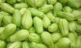 娱乐718吃瓜王大炮,吃瓜王大炮背后的故事