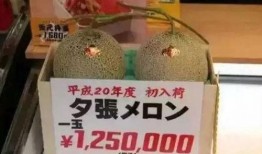 娱乐吃瓜钱,吃瓜群众如何用“钱”解锁明星幕后故事