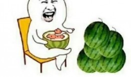 哪些地方可以娱乐圈吃瓜