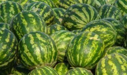 娱乐吃瓜酱边界感,边界感下的趣味解读