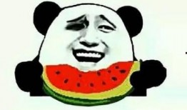 娱乐吃瓜酱的创作背景,揭秘娱乐圈幕后故事，带你走进明星真实生活