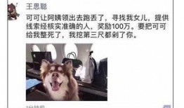 娱乐吃瓜酱救狗还是救人,救狗还是救人的道德抉择