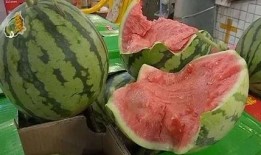 娱乐g吃瓜,揭秘明星幕后故事