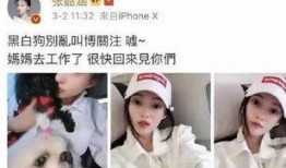 吃瓜开会说要娱乐圈,揭秘明星幕后故事