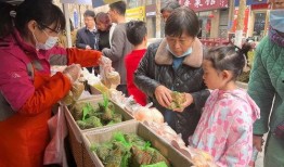 娱乐吃瓜场地图片高清,一场视觉盛宴的幕后揭秘