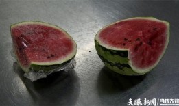 娱乐吃菌瓜,探寻娱乐与美食的完美融合