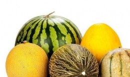 多多娱乐吃瓜,揭秘娱乐圈吃瓜背后的真相与笑料