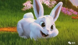 娱乐吃瓜酱 兔 圆 圆,揭秘兔圆圆的爆笑日常